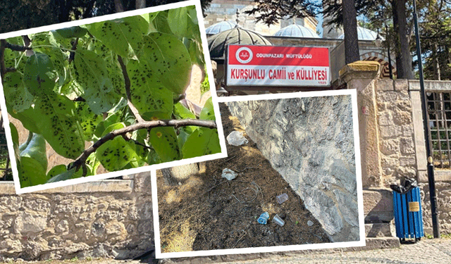 500 yıllık Kurşunlu Külliyesi bakımsızlığa terk edildi