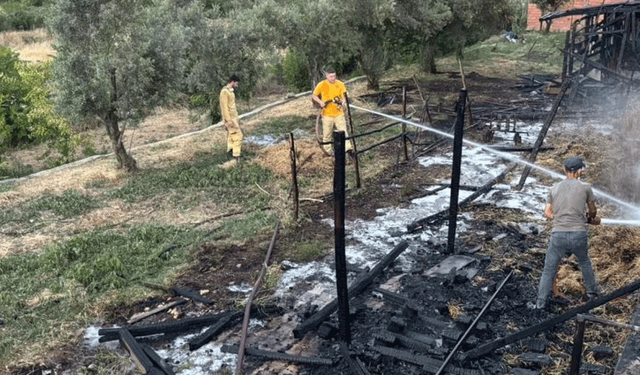 Bilecik'te bir ahır çıkan yangında kül oldu