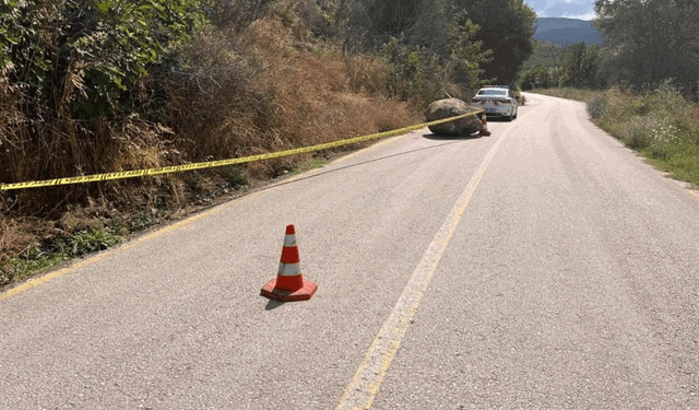 Bilecik'te dev kaya parçası yola düştü