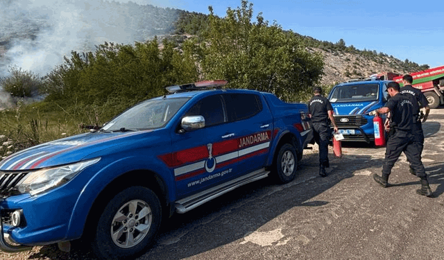 Bilecik'te elektrik direğinden çıkan kıvılcım orman yangınına sebep oldu