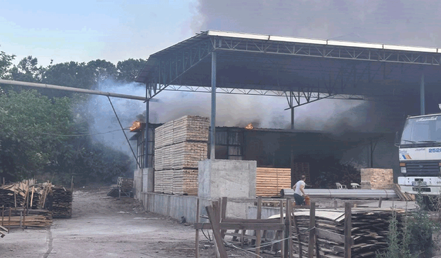 Bilecik'te kereste işletmesinde yangın