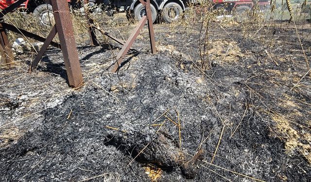 Bilecik'teki orman yangını kontrol altına alındı