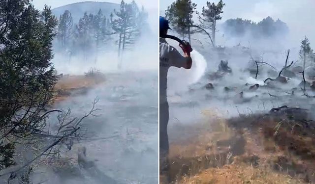 Kütahya'da orman yangını: Ekipler havadan ve karadan müdahale ediyor