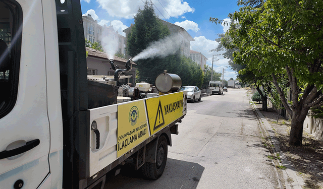 Odunpazarı Belediyesi ilaçlama çalışmalarına devam ediyor