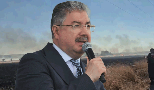 Vali Yılmaz'dan Seyitgazi yangını açıklaması: 73 personel görev yapıyor