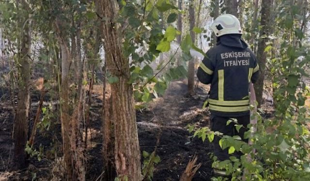 Afyonkarahisar'da anız ve ağaçlık alanda yangın