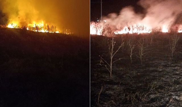 Afyonkarahisar'da arazi yangını