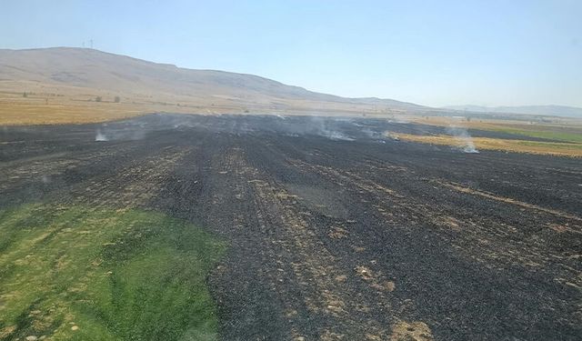 Afyonkarahisar'da çıkan yangında 100 dekar tarım arazisi zarar gördü