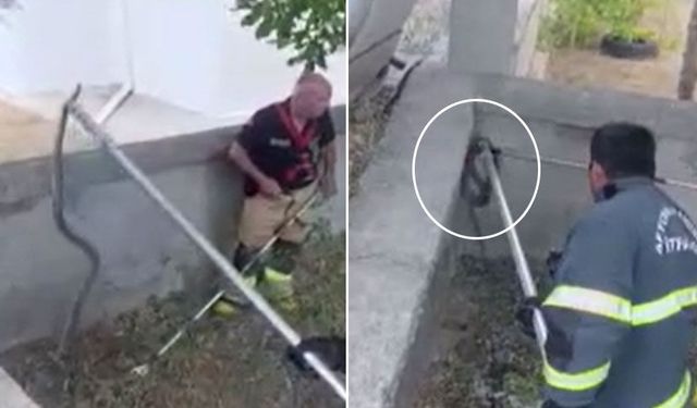 Afyonkarahisar'da evin bahçesinden 1,5 metrelik yılan çıktı