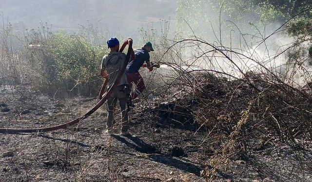 Bilecik YHT hattında korkutan çalılık yangını