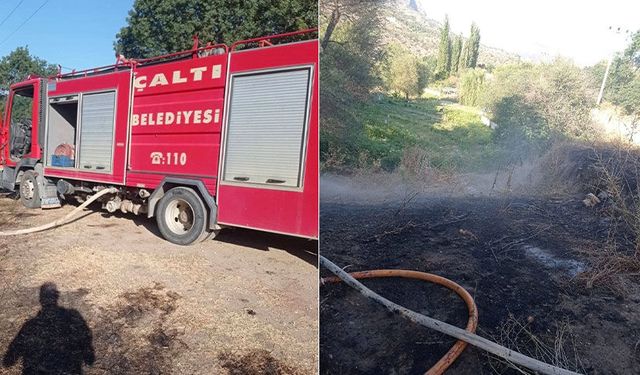 Bilecik'te çalılık yangını ormanlık alana sıçramadan söndürüldü