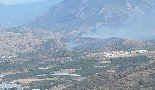 Bilecik’te çıkan orman yangını kontrol altına alındı