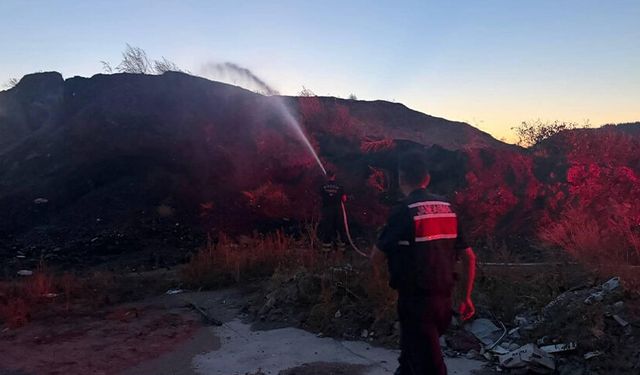 Bilecik’te çıkan ot ve çalılık yangını korkuttu