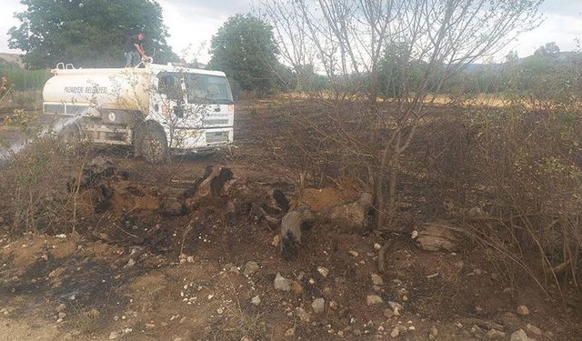Bilecik’te çıkan yangında balyalar kül oldu
