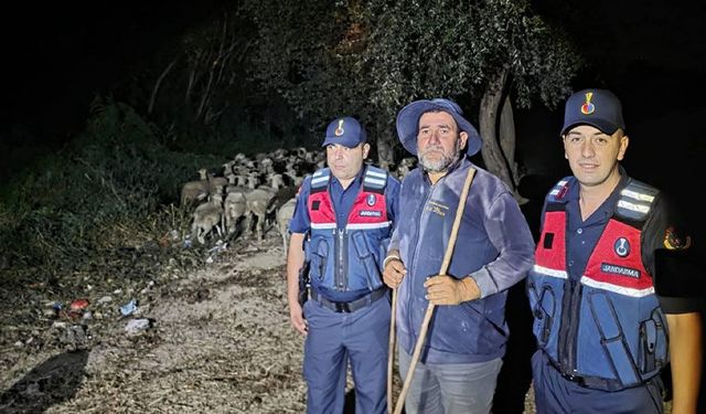 Bilecik'te kayıp ihbarı yapılan çoban ile 100 koyun bulundu