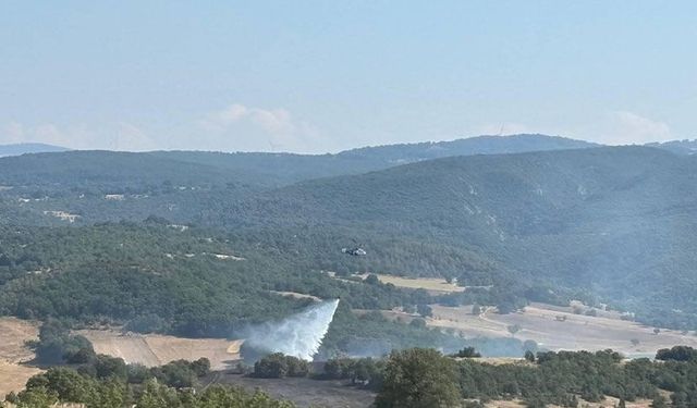 Bilecik'te ormanlık alanda çıkan yangın kontrol altına alındı