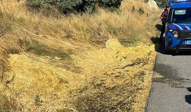 Bilecik'te yol kenarına atılan sigara izmariti yangına neden oldu