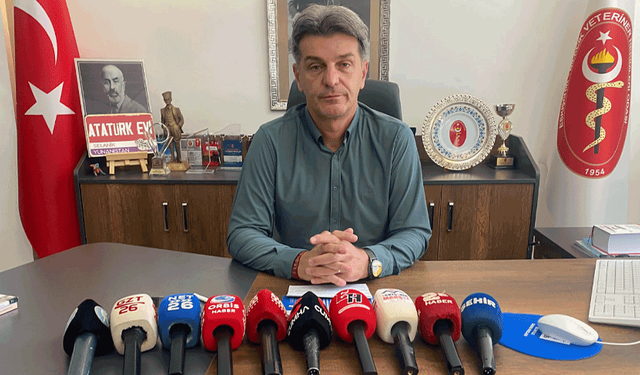 Eskişehir’de Veteriner Hekimlerden uyarı: Sıcaklar can dostlarını tehdit ediyor!