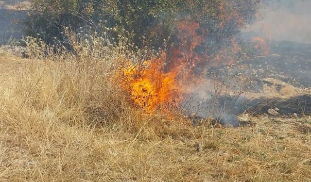 Afyonkarahisar'da bir günde 5 ayrı noktada arazi yangını
