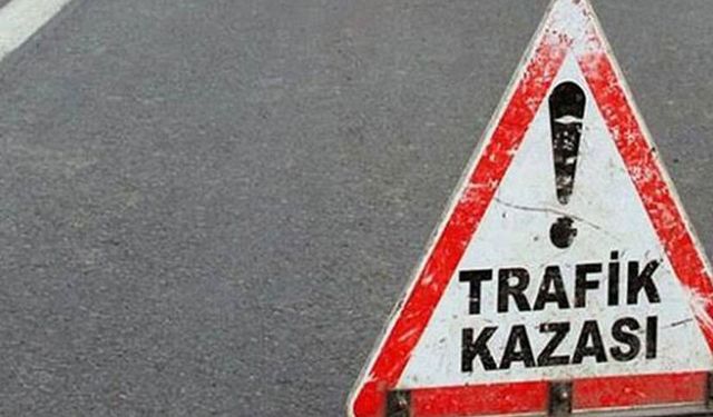 Afyonkarahisar'da devrilen otomobilde 2 kişi yaralandı