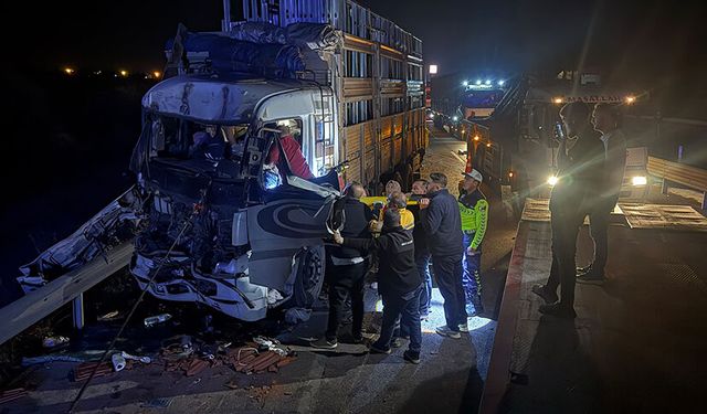 Afyonkarahisar'da yaralanan kamyon sürücüsünün feryatları yürekleri burktu