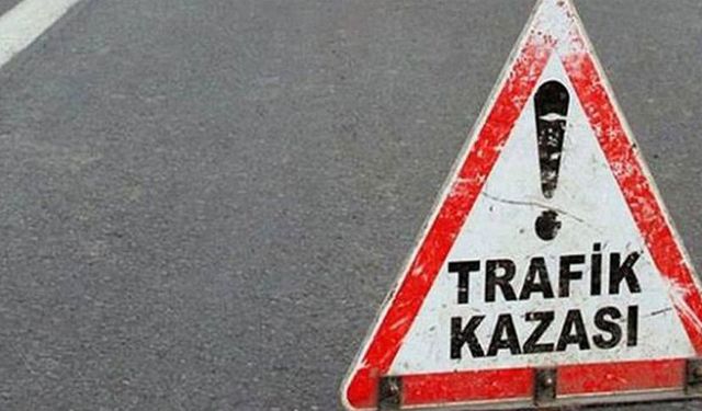 Afyonkarahisar’da şarampole devrilen otomobil sürücüsü yaralandı