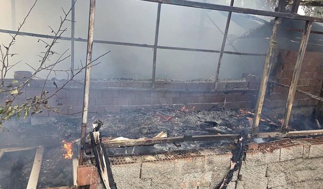 Bilecik'te elektrik hattından çıkan kıvılcım bahçeyi alevlere teslim etti
