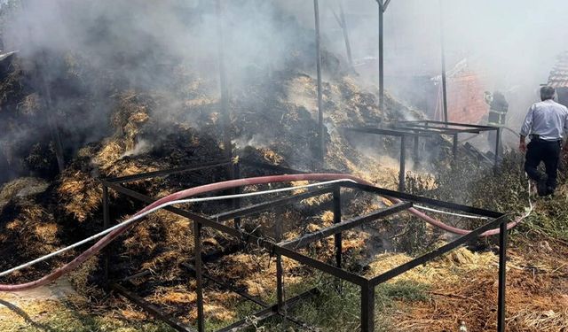 Bilecik’te iki köyde çıkan yangında çok miktarda saman balyası yandı