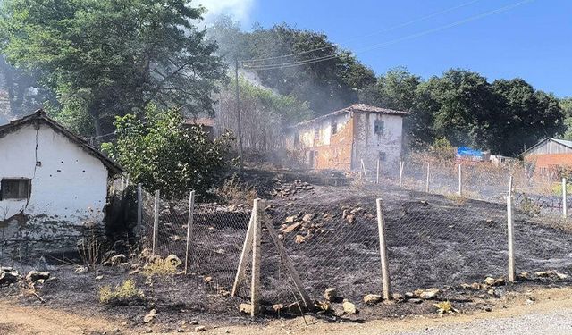 Bilecik'te orman yangınına sebebiyet veren şahıs gözaltına alındı