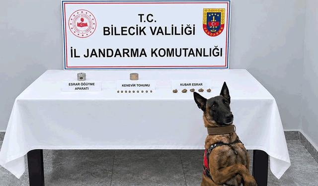 Bilecik'te narkotik köpeği uyuşturucuyu kokusundan buldu
