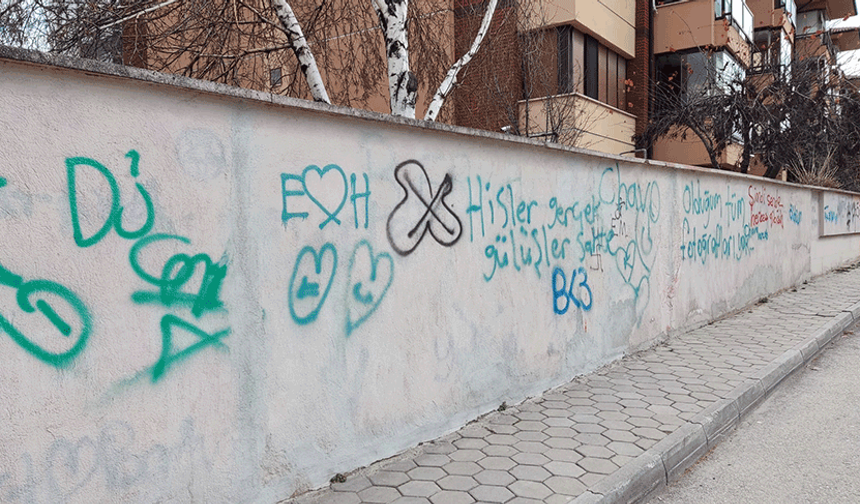 Eskişehir'de vandalların hedefinde bu sefer site duvarları var