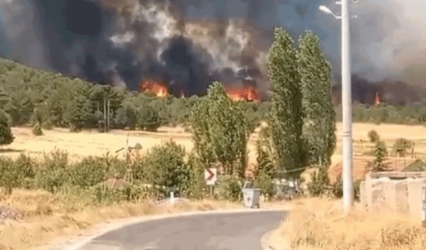 Eskişehir’de orman yangını