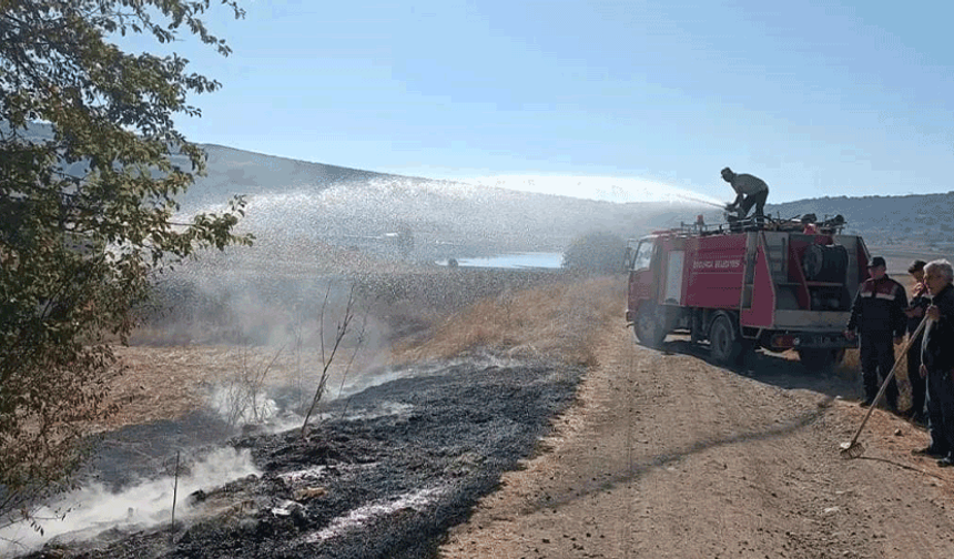 Dodurga'da anız yangını kontrol altına alındı