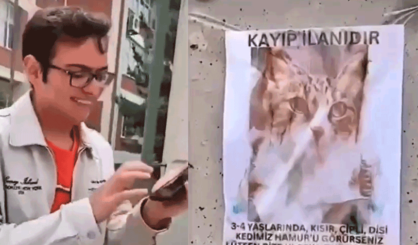 Eskişehir’de kayıp kedisini arayan vatandaşla dalga geçtiler