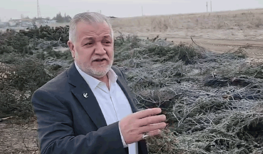 Mandacı: Bu ağaçlar kolay yetişmiyor? Neden kestiniz?