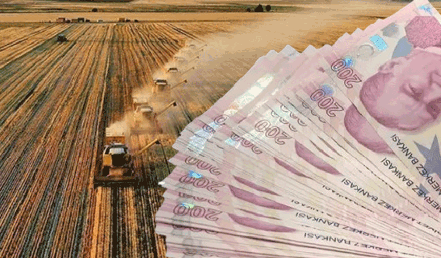 Eskişehir'de çiftçilere destek ödemeleri başladı