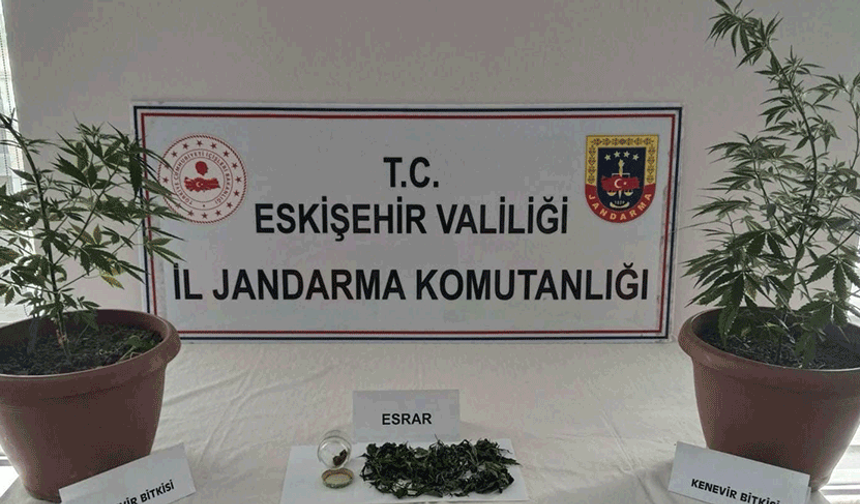 Eskişehir’de operasyon: Balkondaki saksılardan uyuşturucu çıktı