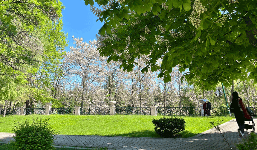 Eskişehirliler Aydın Arat Parkı’nda doğanın tadını çıkardı
