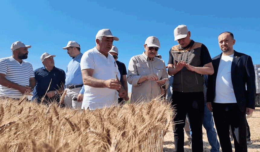Dönmez: Eskişehir'de bu yıl buğday üretimi 1 milyon tona yaklaşacak