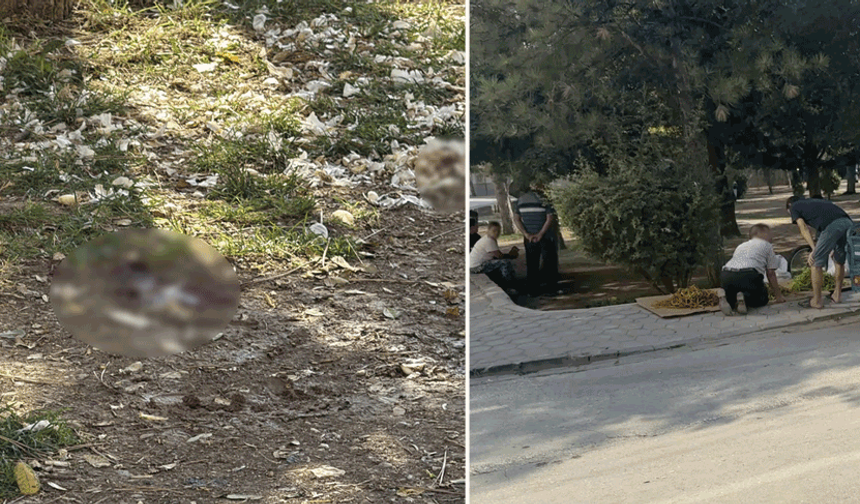 Eskişehir’de parkta dehşet anları: Döner bıçağıyla saldırıp kaçtı
