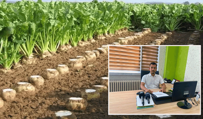 Genç Rençberler’den pancar fiyatı çağrısı: “4 bin TL’nin altı bizi kurtarmıyor”