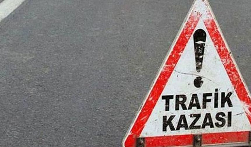 Afyonkarahisar'da devrilen otomobilde 2 kişi yaralandı