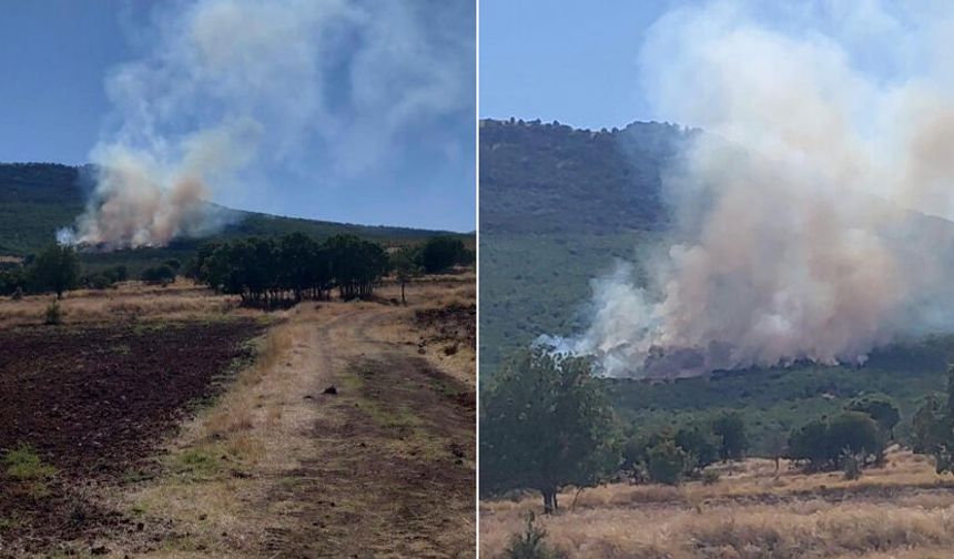 Sivrihisar'da ormanlık bölgede yangın: Alevlerle mücadele sürüyor
