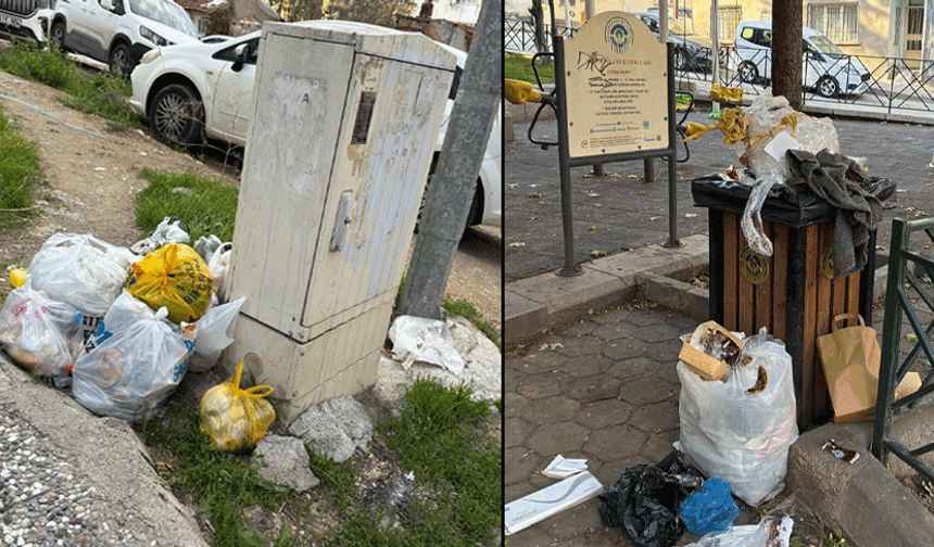 Eskişehir’de park ve elektrik panolarının çevresi çöplerle doldu