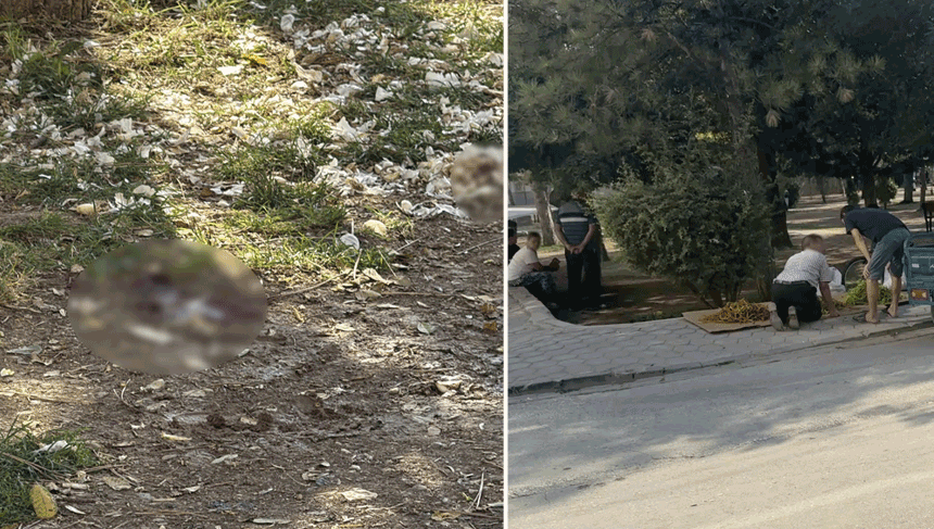 Eskişehir’de parkta dehşet anları: Döner bıçağıyla saldırıp kaçtı