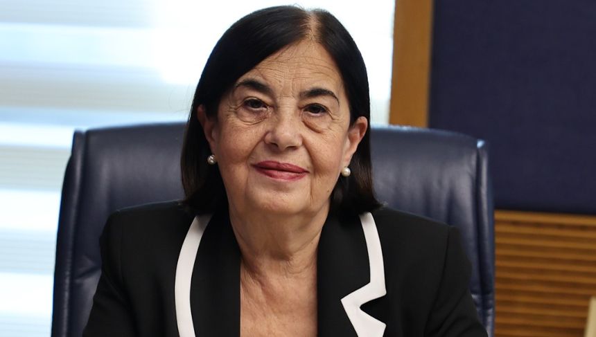 Süllü'den iktidara AB çağrısı: "Önce kendi ev ödevimizi yapalım"